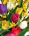 Floral Arrangements