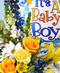 New Baby Flowers & Gifts