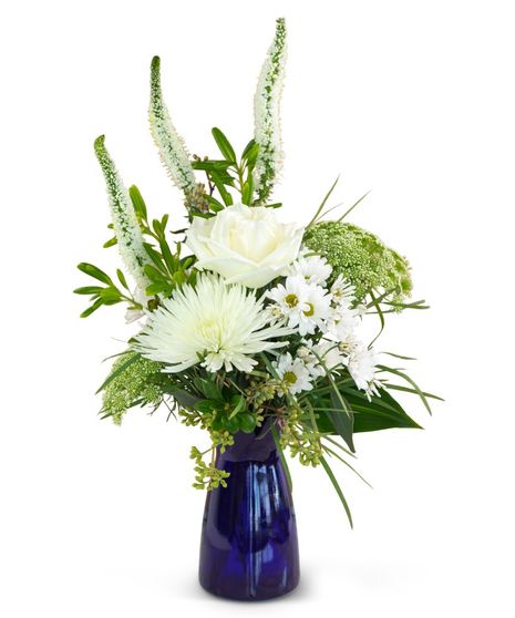Sympathy & Funeral