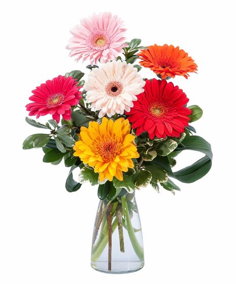 Get Well Flowers