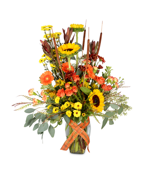 A Fondness for Fall