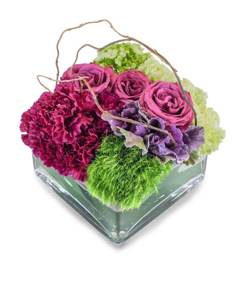 Magenta Garden