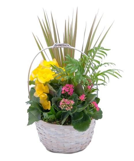 Bloomin' Sunshine Days Basket
