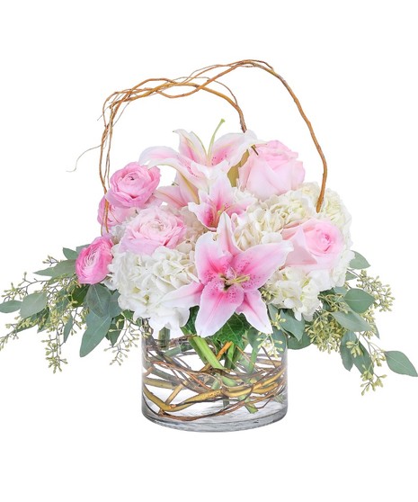 Delicate Beauty