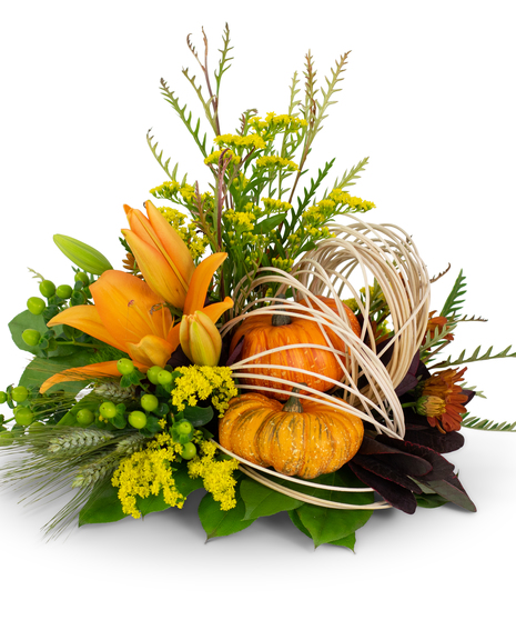 Abstract Cornucopia