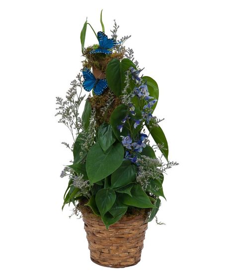 Plant Basket with Butterflies