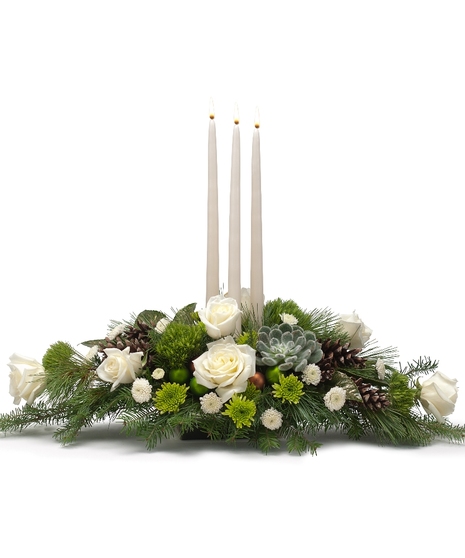 Winter Elegance