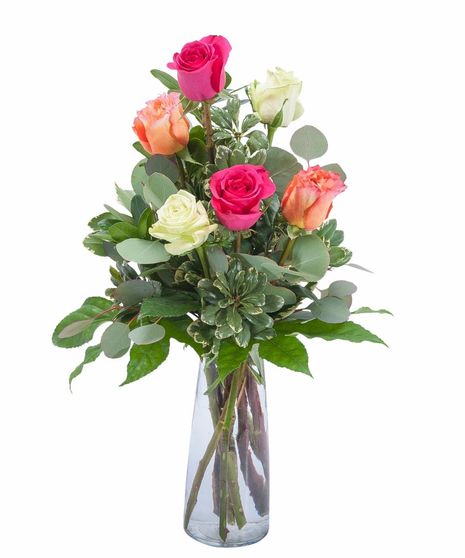 Six Roses