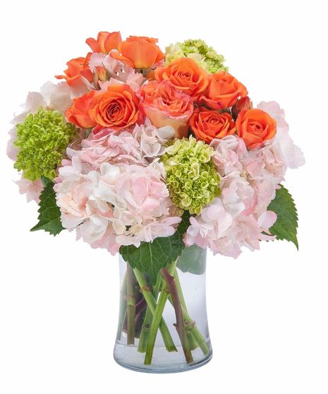 Beauty in Blossom