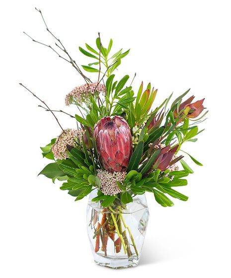 Posh Protea