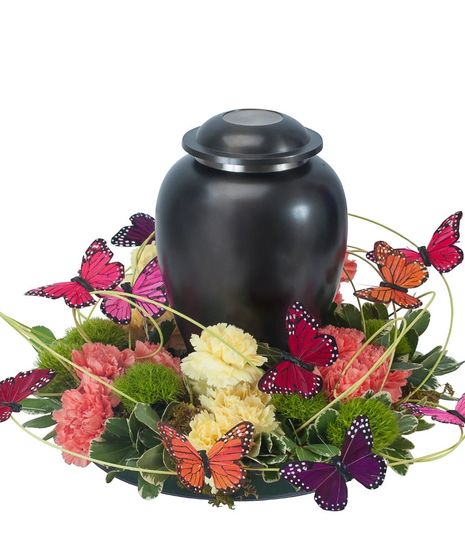 Beautiful Butterfly Simple Surround