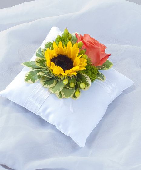 Sunset Pillow Insert