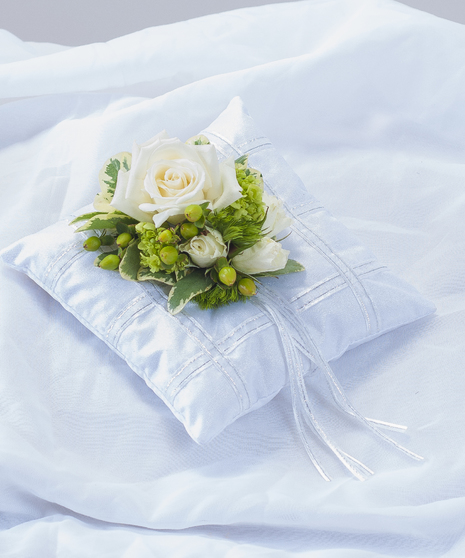 Elegant Pillow Insert