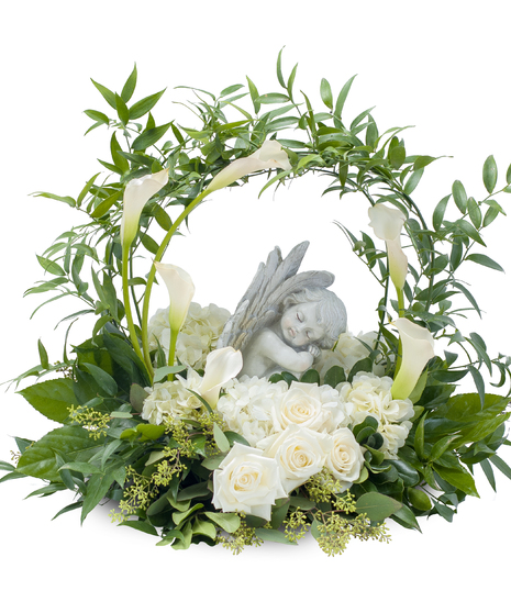 Dreaming with Angels
