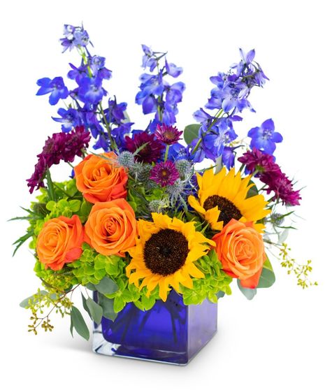 Season of Gratitude