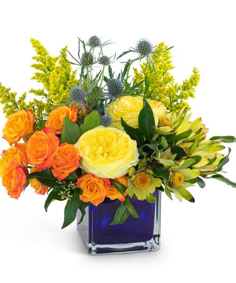 Bloom with Brilliance