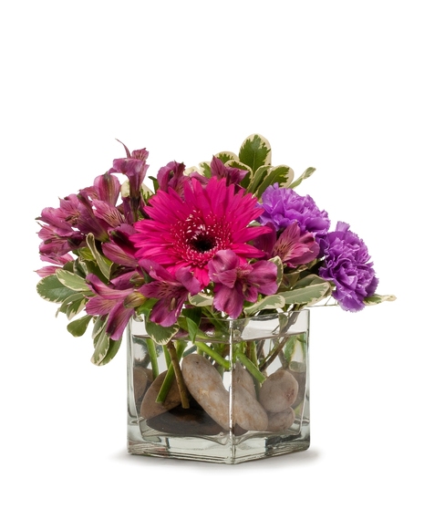 Simply Purple