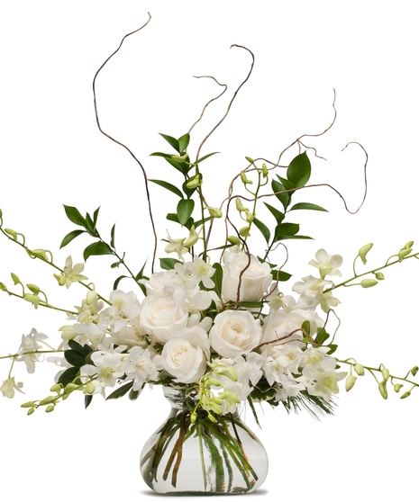White Elegance
